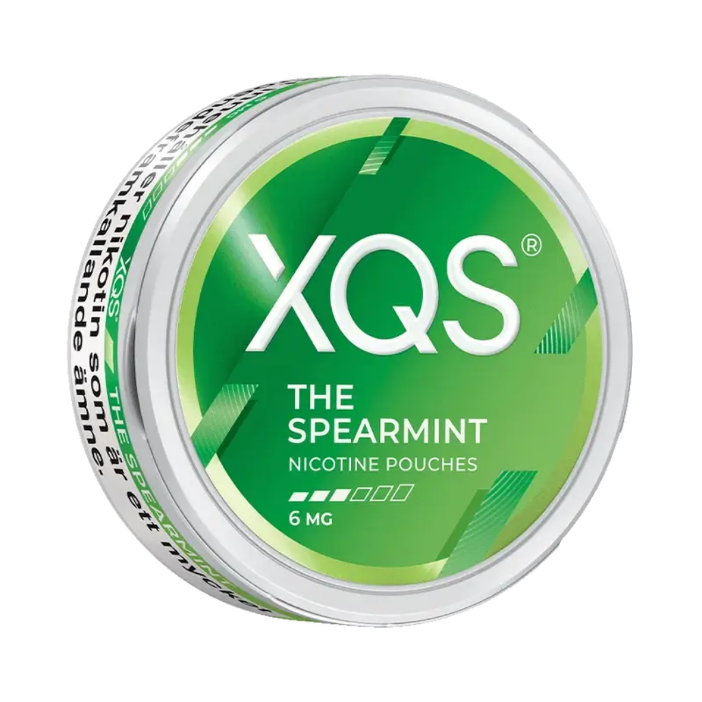 XQS Nikotinpåsar 10-pack